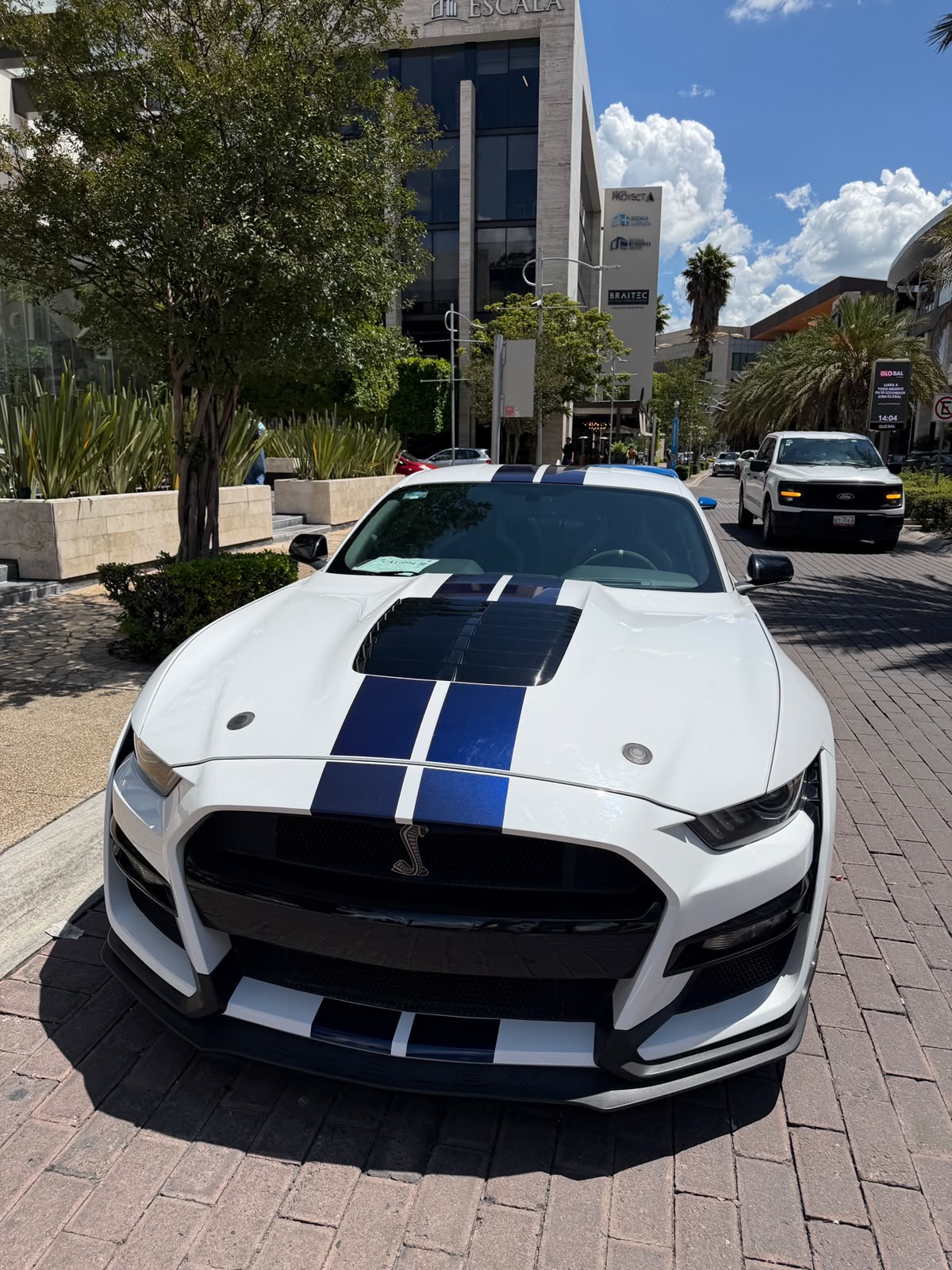 Shelby GT500 Predator 2022
