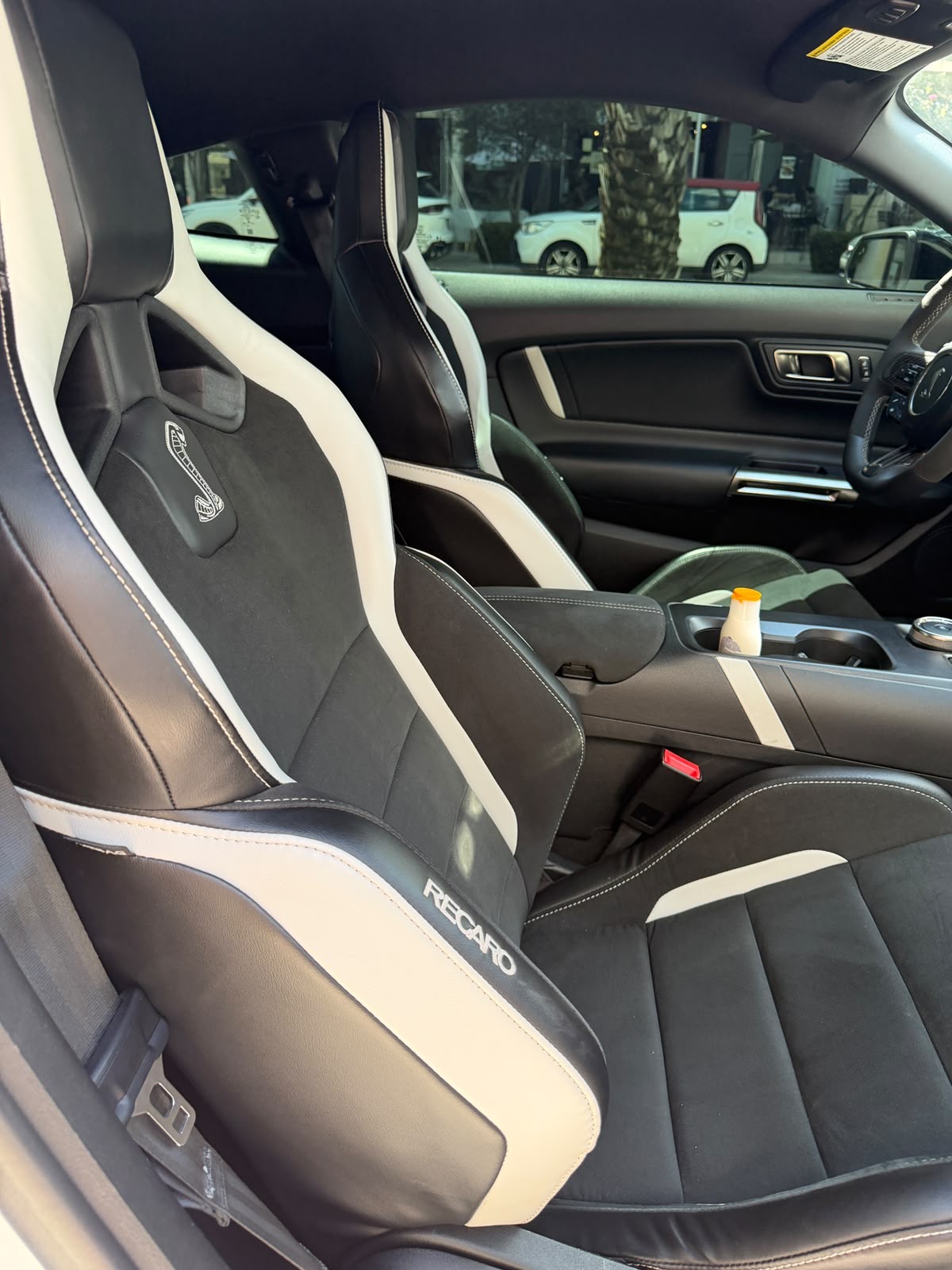 Shelby GT500 Predator 2022 - 2