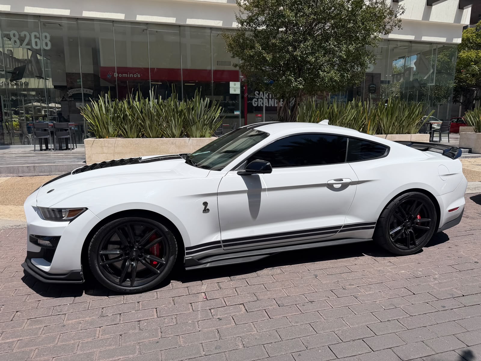 Shelby GT500 Predator 2022 - 3