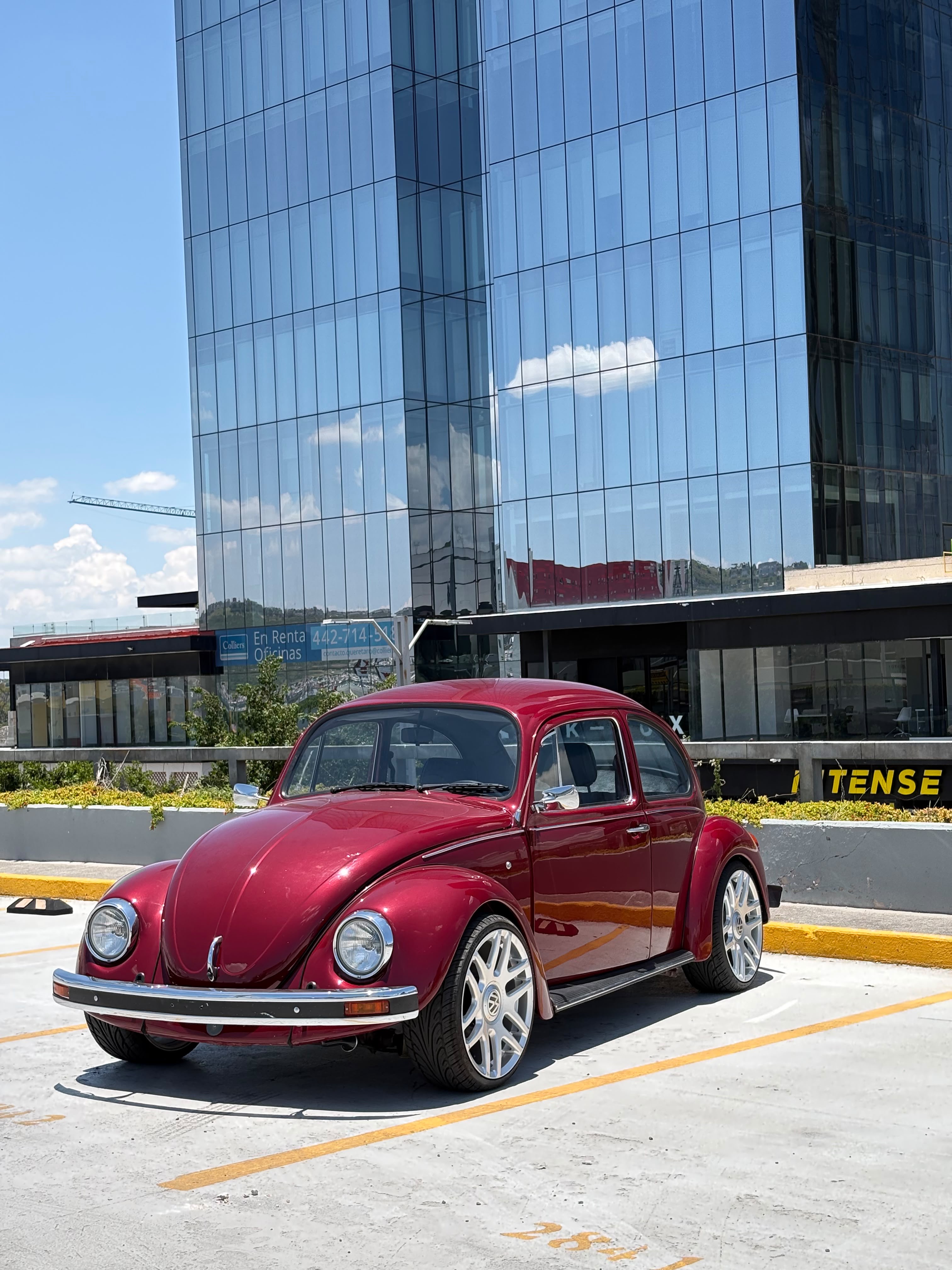 Volkswagen Sedán 113 (Clásico) 1990 - 3